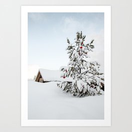 Christmas Tree In The Snow In Nordic Lapland | Norway Photo Art Print | Nature Travel Photography Art Print