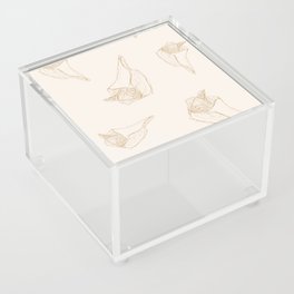 Modern Seashells in Ivory and Gold Acrylic Box