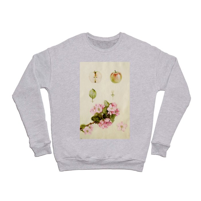 Apples and Apple Blossoms -  Botanical portrait painting by Edward Julius Detmold Crewneck Sweatshirt