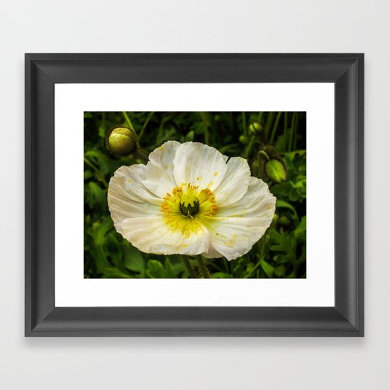 Medium Sized Flower Framed Art Print