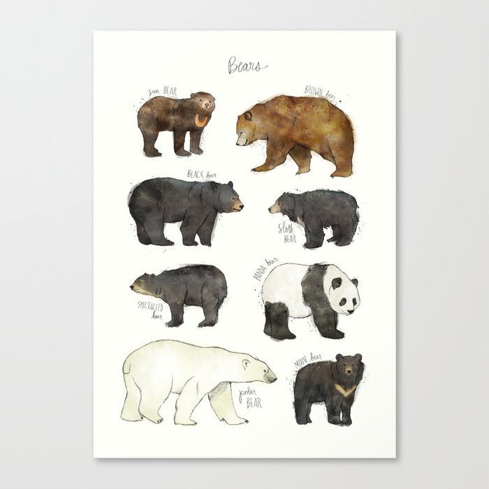 Bears Canvas Print