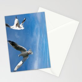 Seagulls from Lake Geneva Stationery Cards