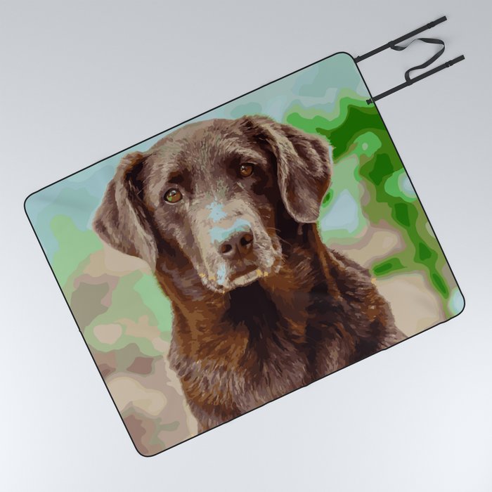 Labrador retriever blankets store