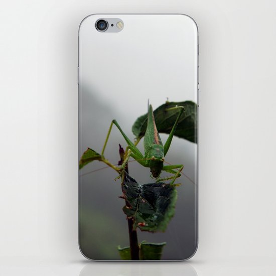 Grasshopper iPhone & iPod Skin