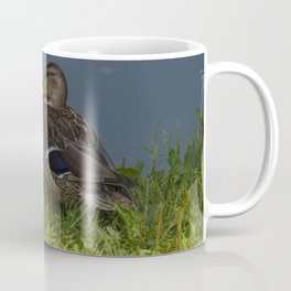 Duck in the grass Coffee Mug