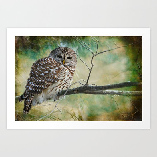 Listen a hundred times. Ponder a thousand times. Speak once. Art Print