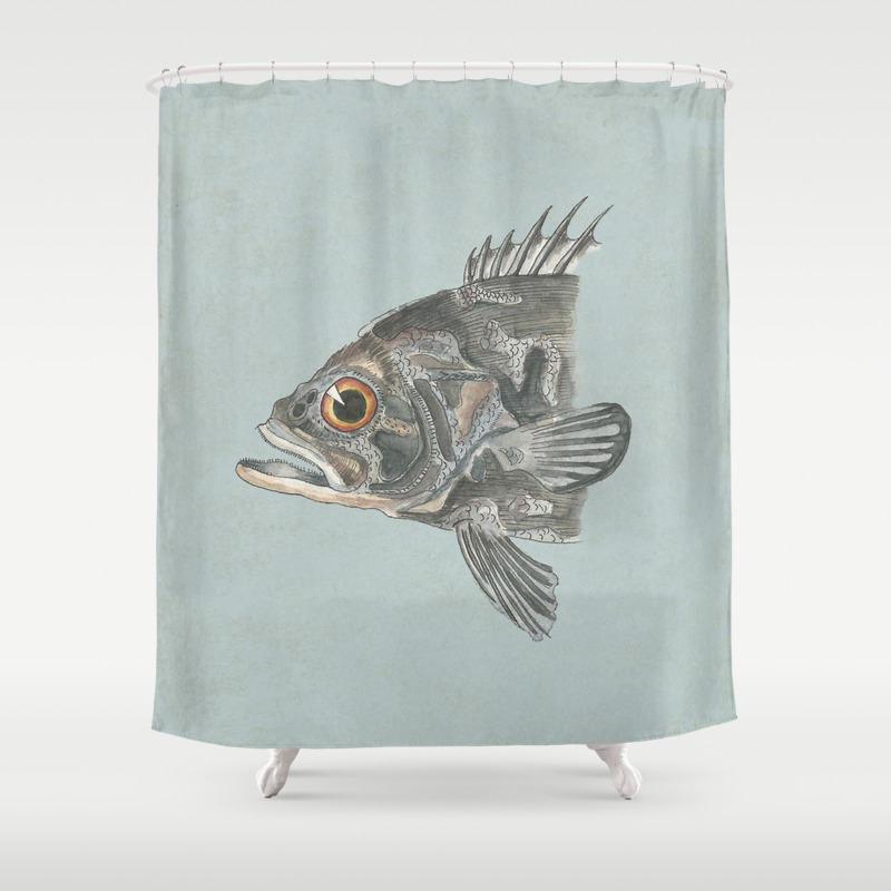 fish shower curtain