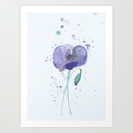 Blue Poppy flower illustration painting in watercolor Art Print