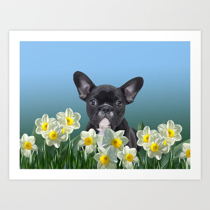 French Bulldog in Daffodils Field Art Print