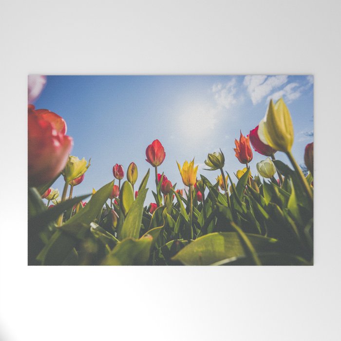 Bright colored Tulips in Holland  Welcome Mat