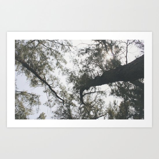 Above Art Print