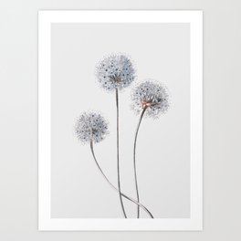 Dandelion Art Prints For Any Decor Style Society6 I know some of you may be intimidated by painting something graphic on your walls. dandelion art prints for any decor