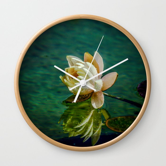 Water Lily after rain Wall Clock