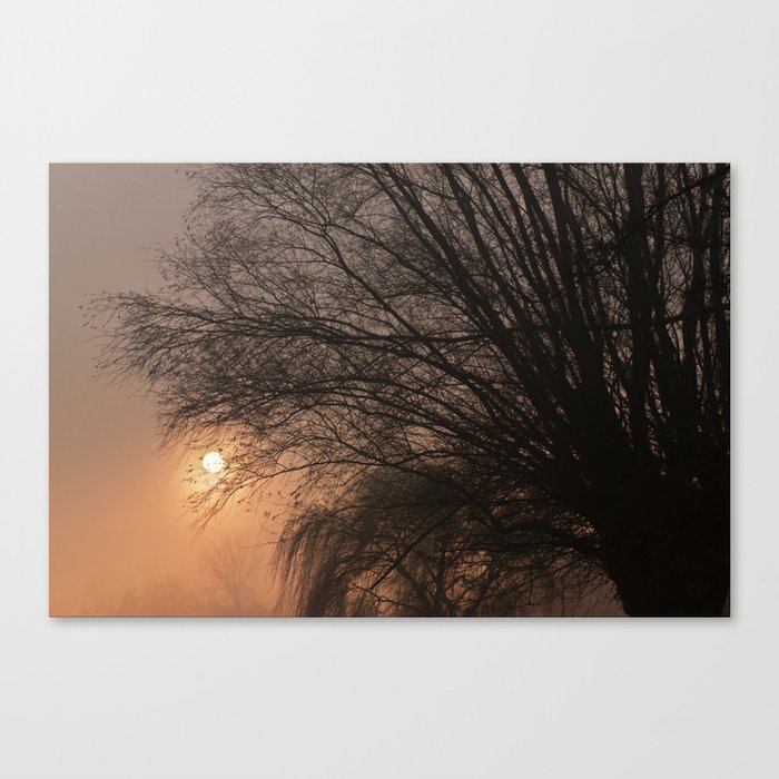 Foggy Sunset Canvas Print