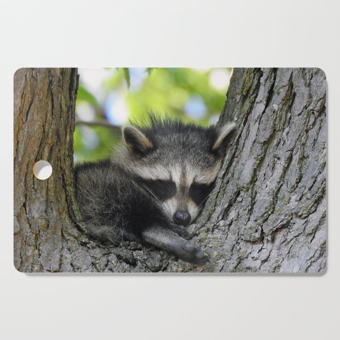 Baby Raccoon Asleep in a Tree Cutting Board