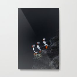 Icelandic puffins on a rock - travel wildlife photography Metal Print