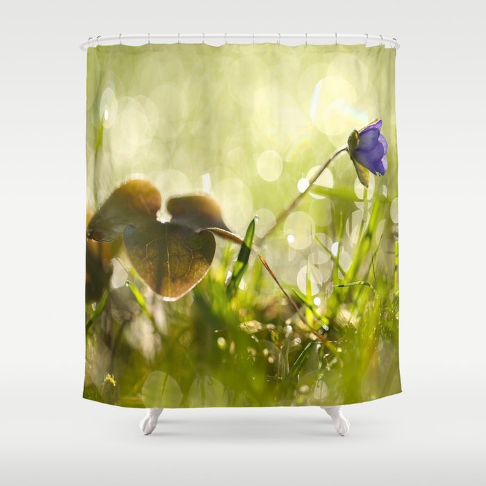 Beautiful spring - first flower little anemone with beautiful bokeh in green background #decor #soci Shower Curtain