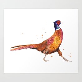 Pheasant Strut Art Print