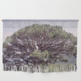 Altintas Aydin Bozdogan Nature Reserve Pistachio Tree Wall Hanging