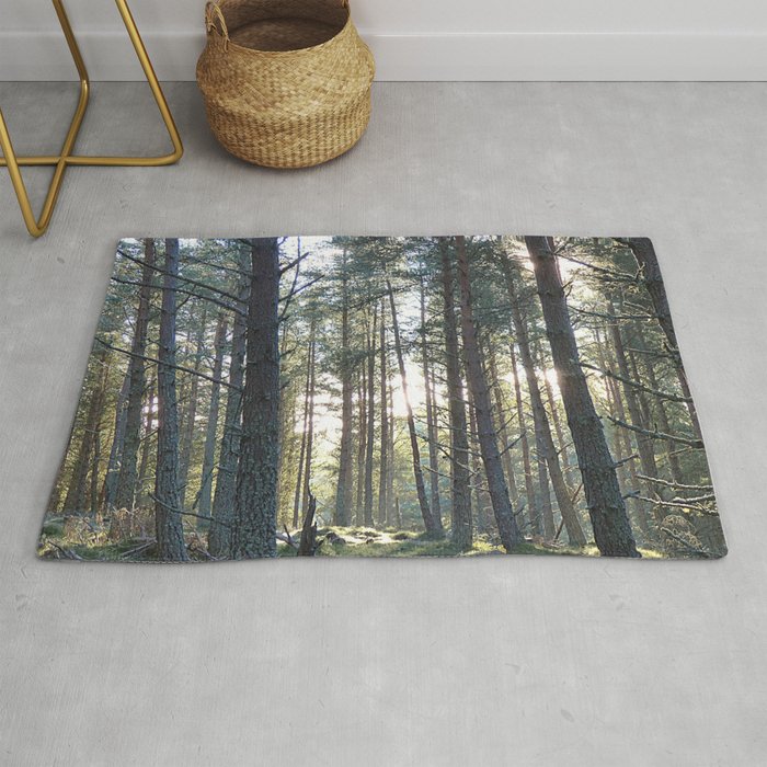 Winter Woodland Sun Rug