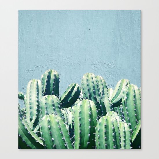 Cactus & Teal #society6 #decor #buyart Canvas Print