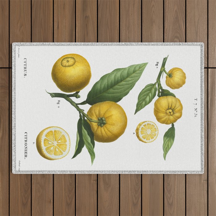 Clusters Of Citrus by Pierre-Joseph Redouté Outdoor Rug