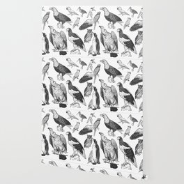 Birds of wildlife set. Eagles, owls, parrots, pelican, penguins, ibis, puffin isolated on white background. Tropical, exotic, water birds. Black white illustration. Vintage. Vintage. Realistic graphics Wallpaper