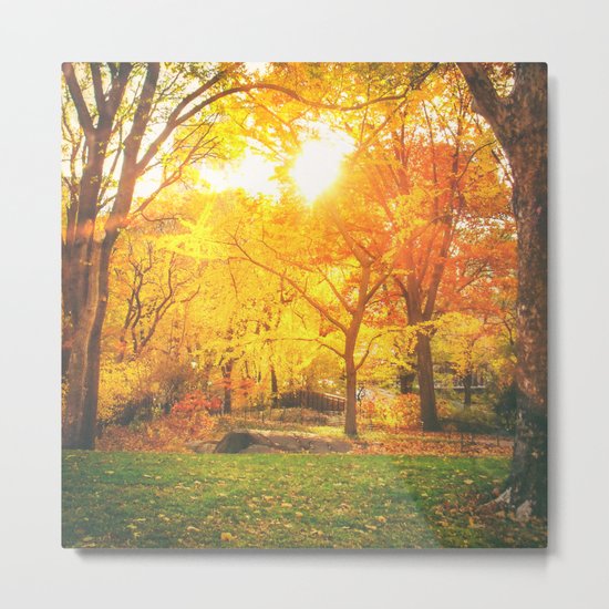 New York City - Autumn Sunset Metal Print