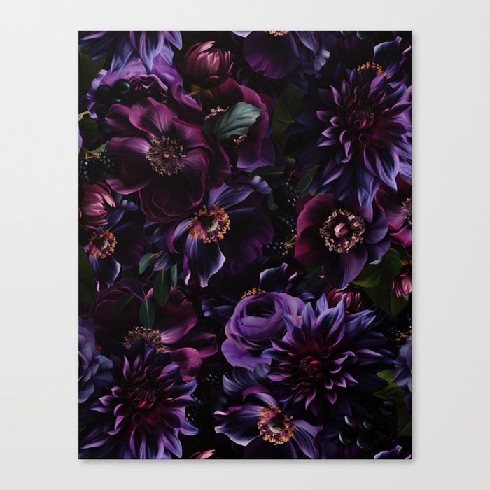 Dark Purple Midnight Rose Flower Garden Canvas Print