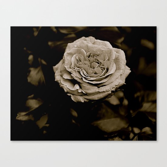 By Any Other Name Canvas Print