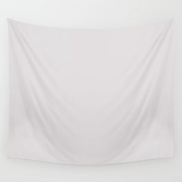 Soft Light Gray - Grey Solid Color Pairs PPG Silver Screen PPG1014-3 - All One Single Shade Colour Wall Tapestry