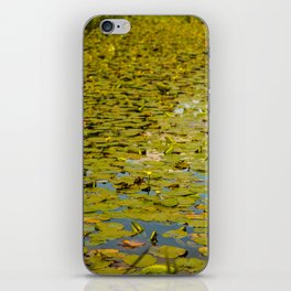 Lily pads iPhone Skin