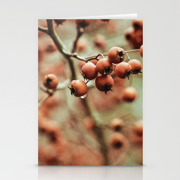 crabapples Stationery Cards