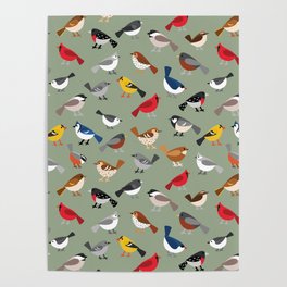Busy Bird Feeder Poster