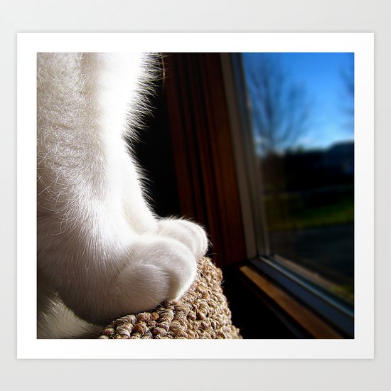 Fuzzy Feet Art Print