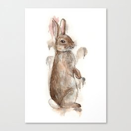 Botanical Garden Rabbit Canvas Print