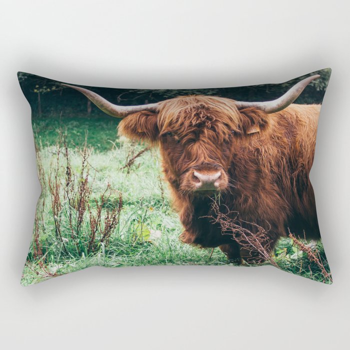  Scottish Highland Cow Print - Scottish Highland Photo - Animal Wall Art - Nature Photography Rectangular Pillow