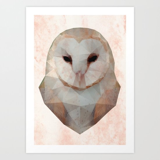 Barn Owl Triangle Art Print
