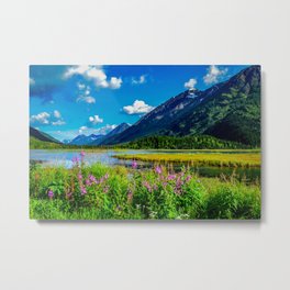 God's Country - Summer in Alaska Metal Print