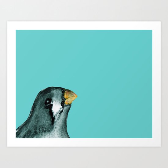 Zebra finch - teal Art Print