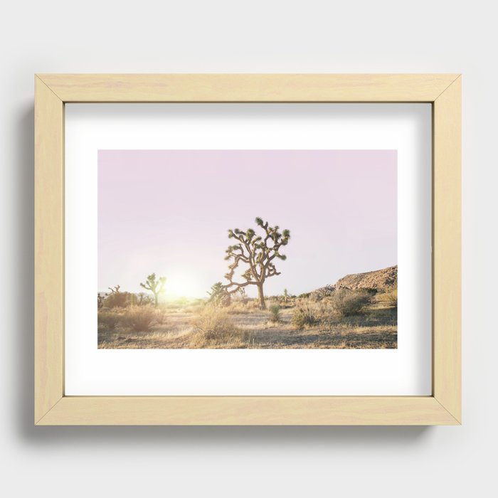 Joshua Tree Recessed Framed Print