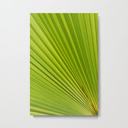 Palm leaf and Mediterranean sunlight 2 Metal Print