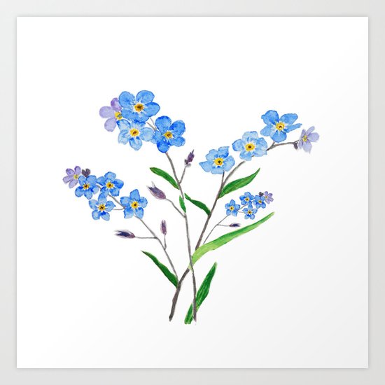 forget me not Art Print