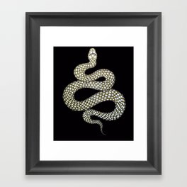Snake's Charm in Black Framed Art Print