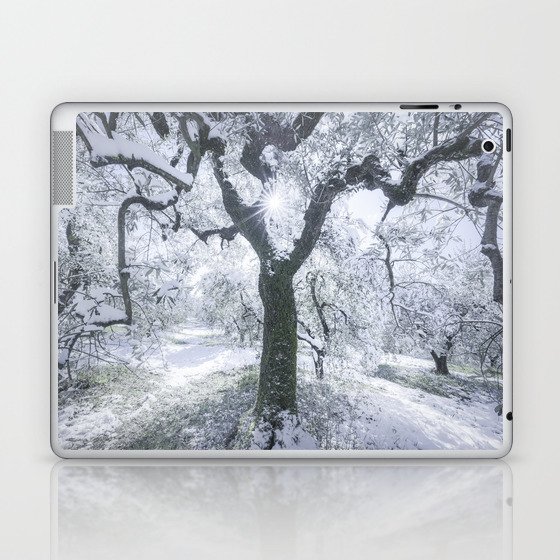 Snow Covered Olive Grove. Tuscany Laptop & iPad Skin