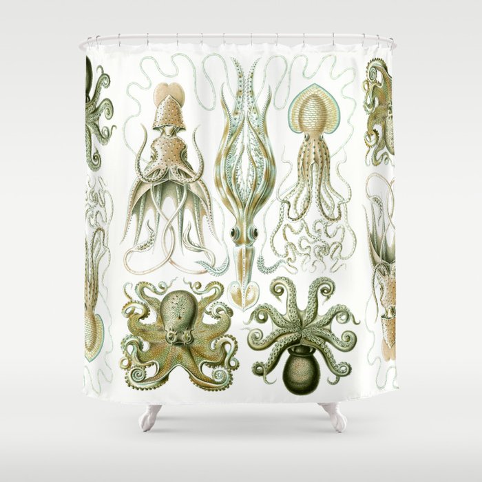 Ernst Haeckel - Kunstformen der Natur (1904) Squid and Octopus Shower Curtain