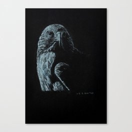 Falcon01 Canvas Print