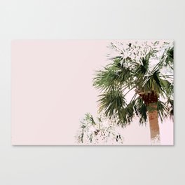 pink in south carolina Canvas Print