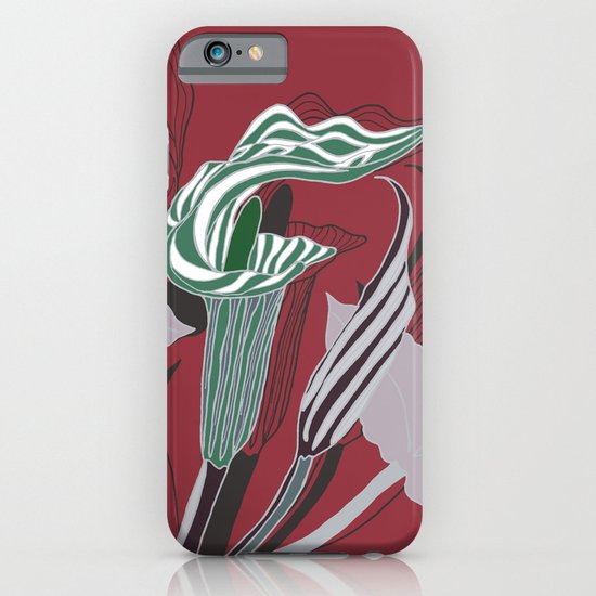 Arum Lilies IV. iPhone & iPod Case