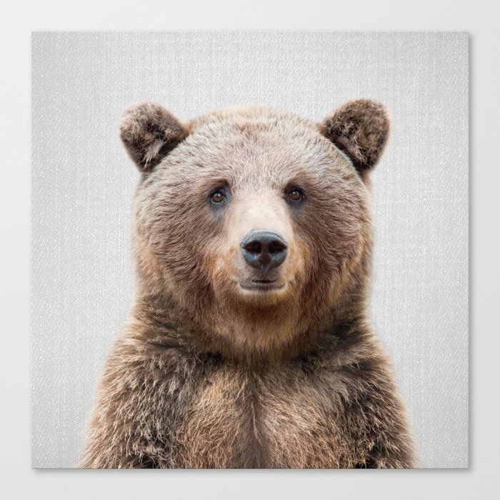 Grizzly Bear - Colorful Canvas Print
